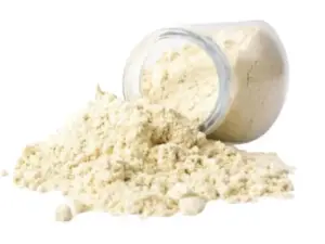 헴프 펩타이드 분말